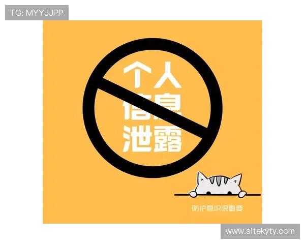 开云完美体育电脑版官网安全登录与账号管理指南，保障你的个人信息安全与隐私保护