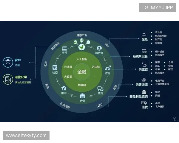 开云会员反馈建议对平台优化的重要作用与实际应用案例