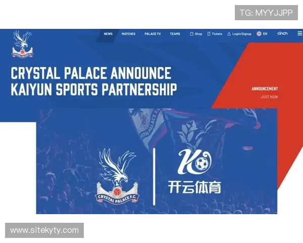 最佳开云体育官方入口：查询比分和预测的理想选择