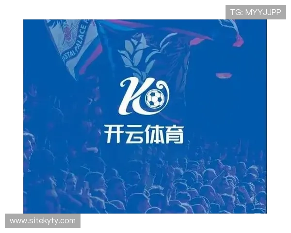 开云体育app官方安全保障措施与用户隐私保护策略分析