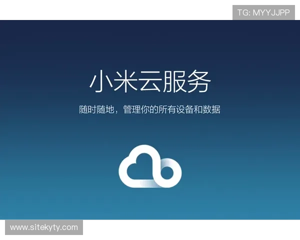 详细解析开云官网登录入口，教你如何无障碍登入