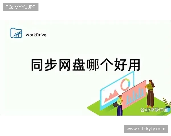 云开登录平台多设备同步登录指南，助力玩家随时随地畅玩游戏