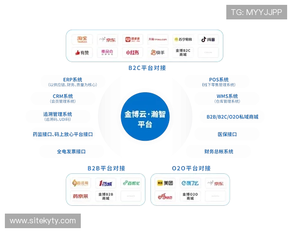 开云中国在电商渠道的布局与优化策略分析助力品牌实现线上线下全渠道融合
